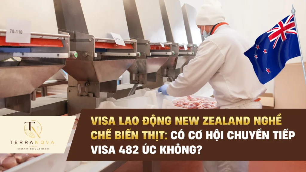 Visa lao động New Zealand nghề chế biến thịt: Có cơ hội chuyển tiếp visa 482 Úc không?