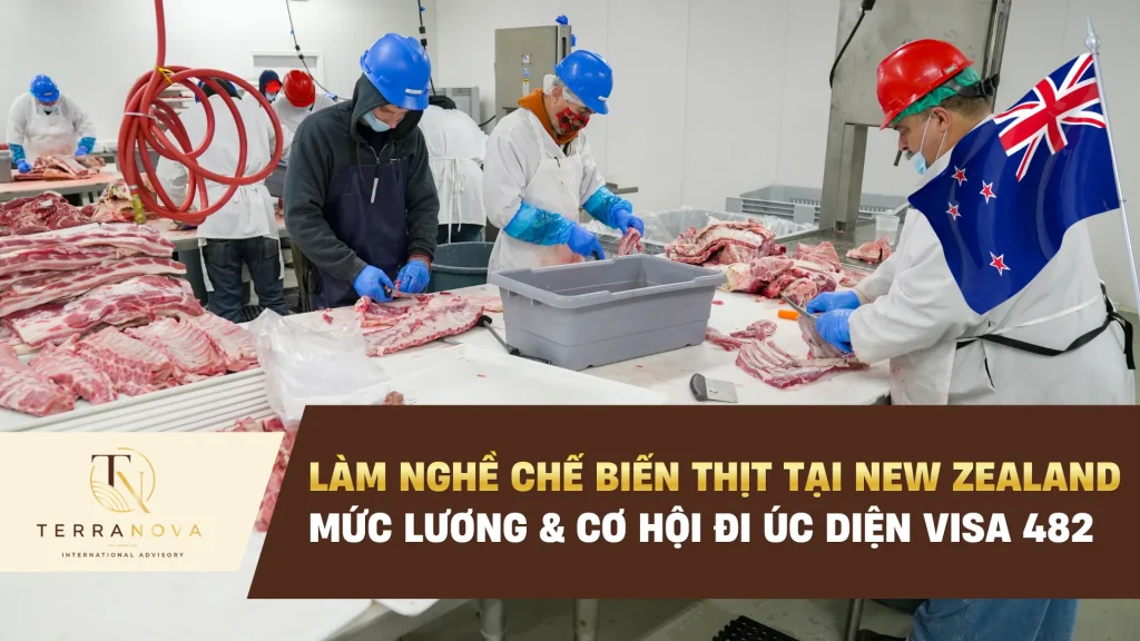 Làm nghề chế biến thịt tại New Zealand: Mức lương & cơ hội đi Úc diện 482