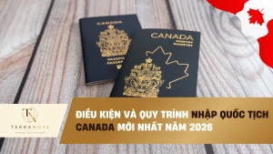 Điều kiện và quy trình nhập Quốc tịch Canada mới nhất năm 2026