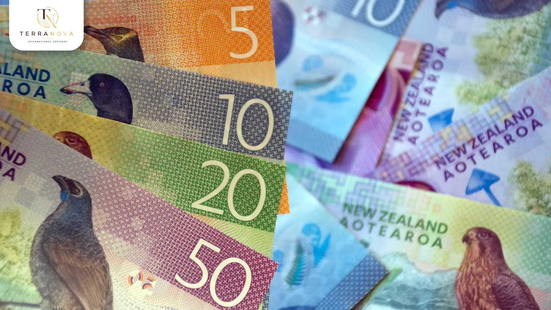 Mức lương đầu bếp tại New Zealand 2026 trung bình dao động khoảng 75.000 – 85.000 NZD/năm hoặc khoảng 28,84 NZD/giờ