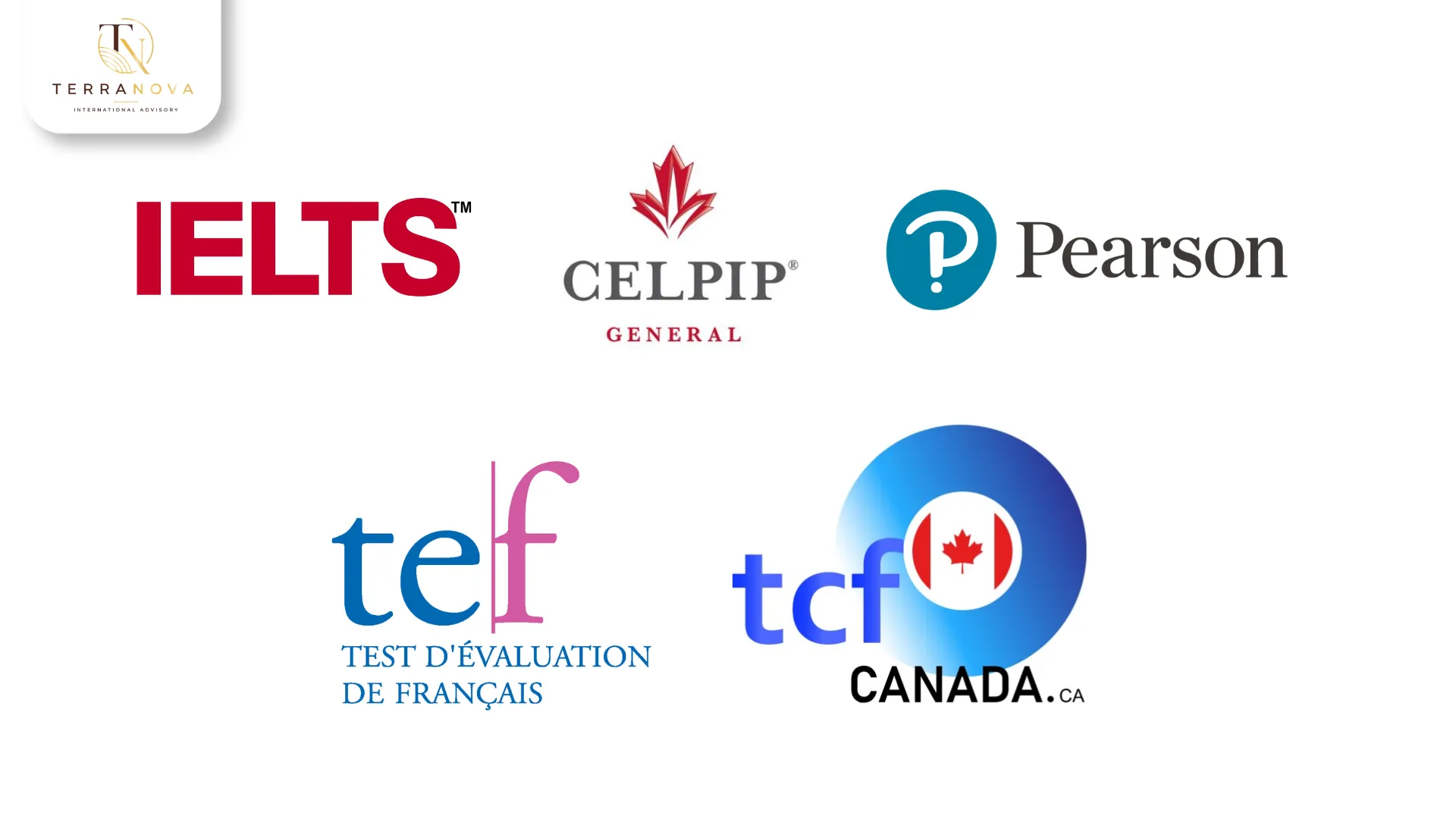 Ứng viên phải trực tiếp sinh sống, quản lý và vận hành doanh nghiệp tại Alberta thay vì chỉ góp vốn thụ động.