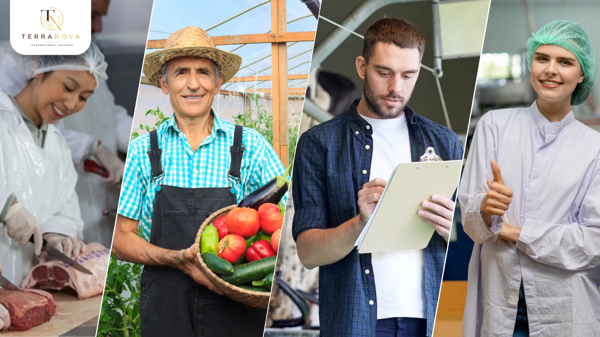 Chính sách lương mới được đồng bộ với các diện Work to Residence, giúp ứng viên có cơ chế tính kinh nghiệm rõ ràng và ổn định hơn khi chuyển từ làm việc sang định cư tại New Zealand.