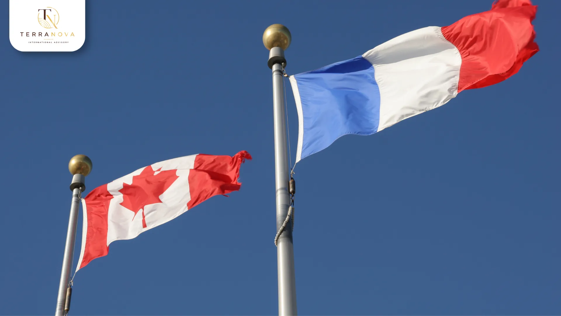 Tiếng Pháp không bắt buộc cho mọi hồ sơ PR Canada, nhưng là lợi thế chiến lược giúp ứng viên tăng cơ hội cạnh tranh và mở rộng lộ trình định cư.