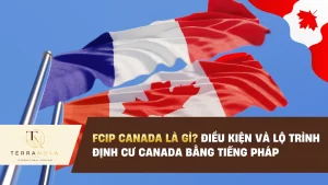 FCIP Canada là gì? Điều kiện và lộ trình định cư Canada bằng tiếng Pháp